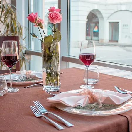 Bela Krajina Hotel Metlika