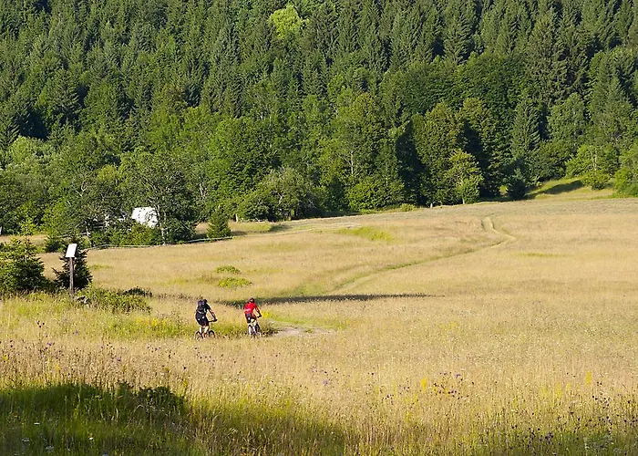 Bela Krajina Szálloda