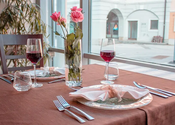 Bela Krajina Hotel Metlika